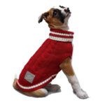 dog sweater